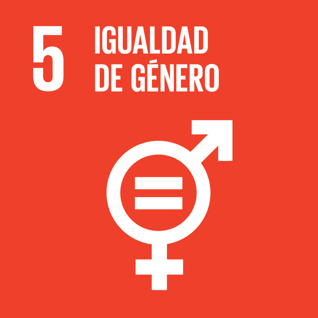 Objetivo 5 Agenda 2030: Igualda de Género